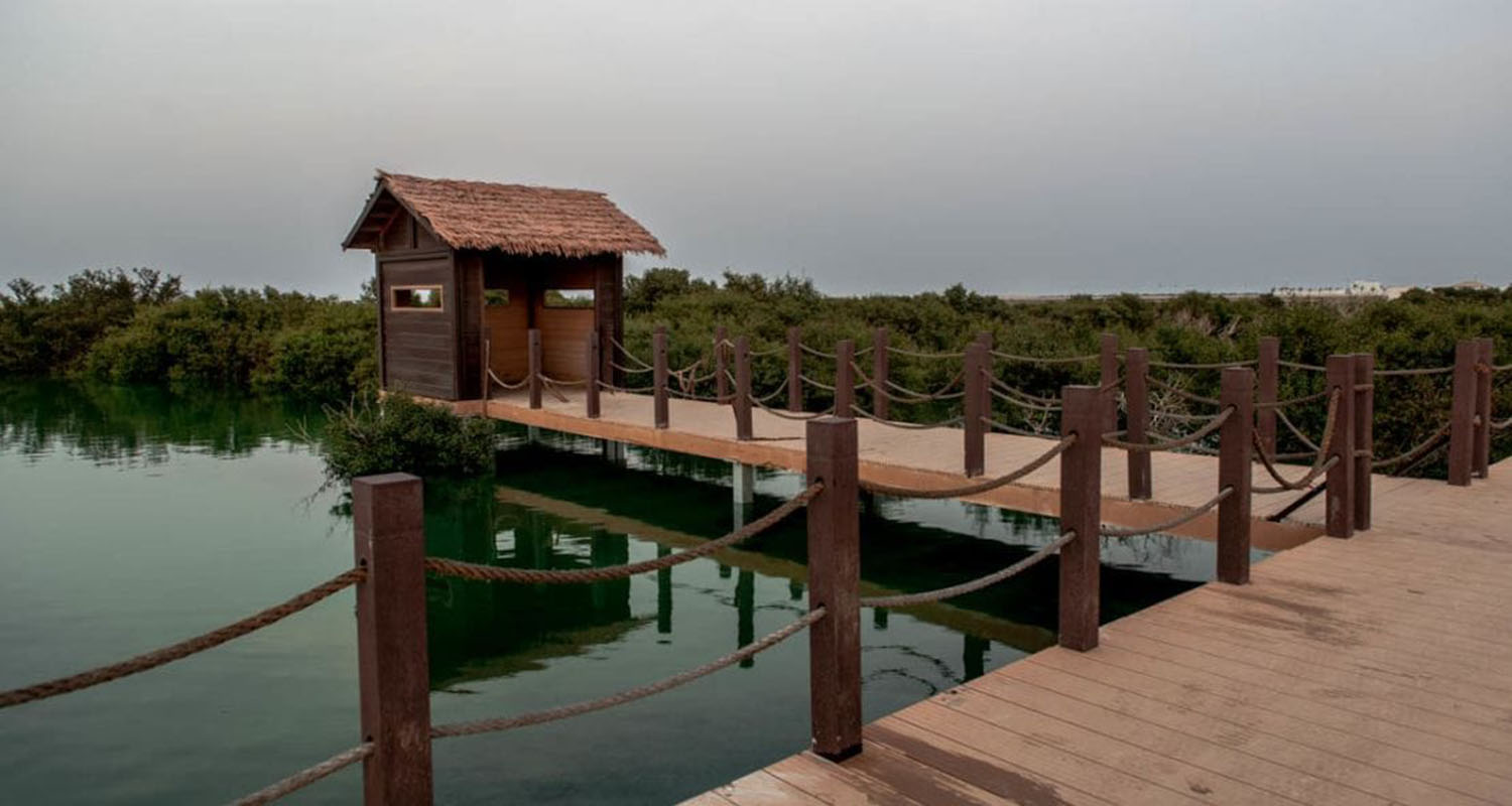 WhatsApp Image 2025-02-08 at 11.42.39 (2).jpeg